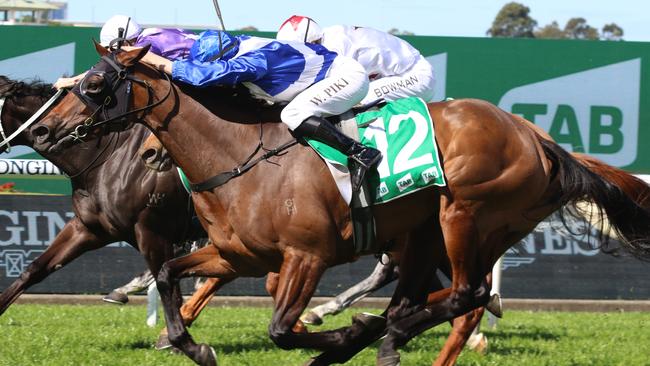 Pink Ivory can can be rewarded for her good form with victory in the Wagga Wagga Gold Cup on Friday. Picture: Grant Guy