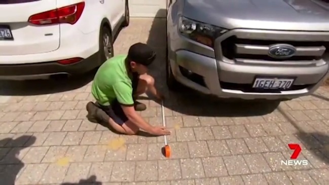 Man in trouble for parking in his driveway (7 News)