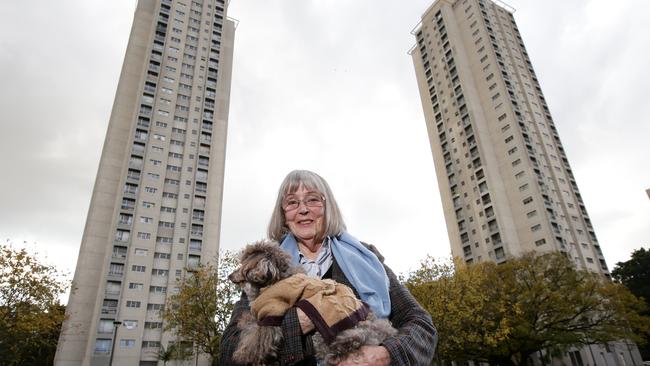 Catherine Skipper with her dog Finnegan outside the Matavai and Turanga buildings. Picture: Jonathan Ng