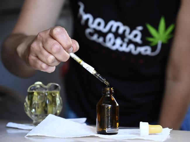 Valeria Rivera, member of the self-managing NGO âMama cultivaâ (Mom grows), prepares medicinal cannabic oil with self-cultivated cannabis for an epileptic boy, at her home in Buenos Aires on November 19, 2020. - Argentina legalised the self-cultivation of cannabis for medicinal use and the sales of therapeutic oils in pharmacies, through a decree published on the official journal on November 12, 2020. (Photo by JUAN MABROMATA / AFP)