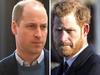 ‘Crossed a line’: Harry, William feud grows