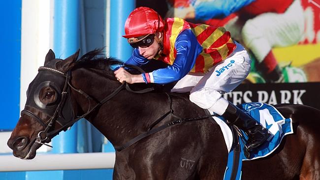 Taxmeifyoucan didn't handle the Melbourne way of going last start and can atone at Rosehill today.