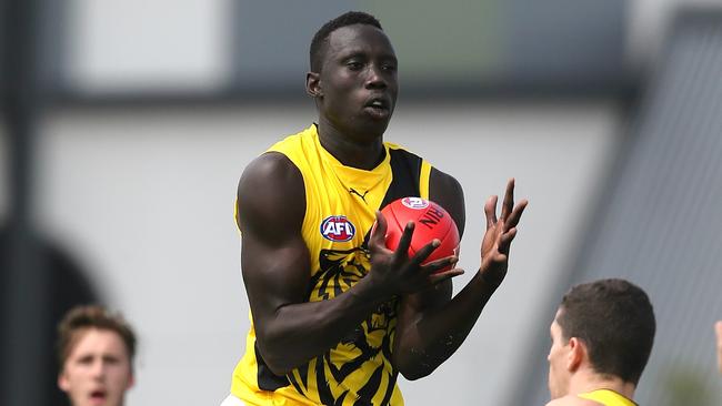 Mabior Chol is another Tiger rookie who could be promoted. Picture: Wayne Ludbey