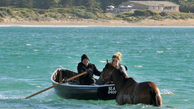 Caulfield Cup contender Humidor has a splash at Warrnambool. Picture: Robin Sharrock