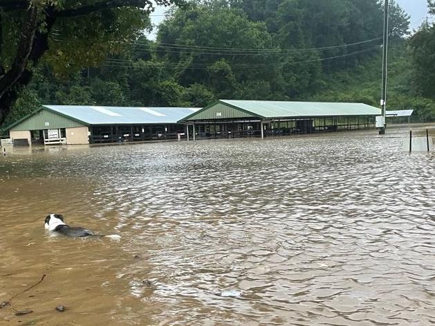 ‘Incredibly wet and dangerous’: Coffs coast cops a hammering