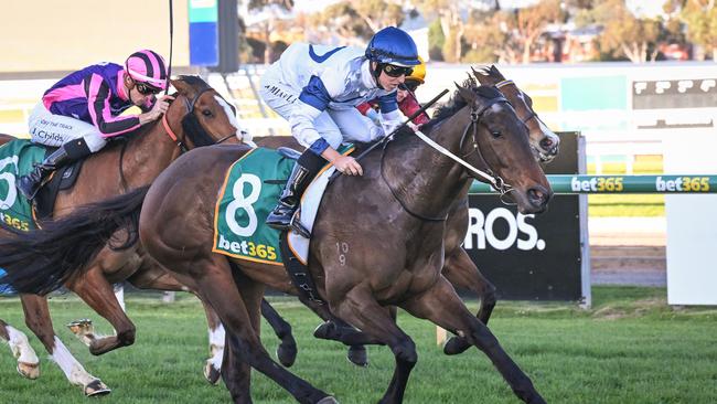 Miss Galore swept to victory last start at Geelong. Picture: Reg Ryan/Racing Photos via Getty Images