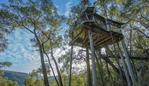 Wollemi Tree House, New South Wales.