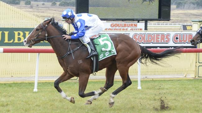 Tycoon Artie now races in different silks - purple, old gold checks, white sleeves and cap - and he should prove hard to beat at Corowa on Monday. Photo: Bradley Photos.
