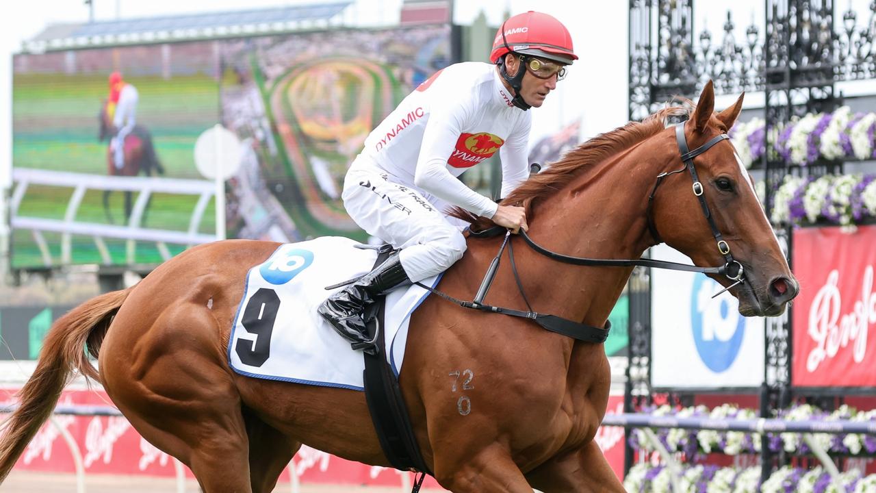 Network 10 Carbine Club Stakes