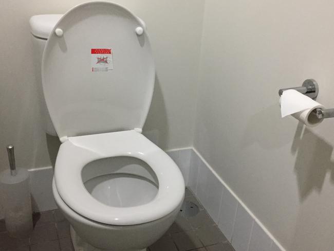 Toilet seat. Toilet cubical.