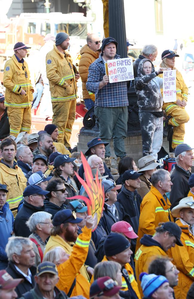 The rally brought the bush to the steps of Victoria’s parliament. Picture: David Caird