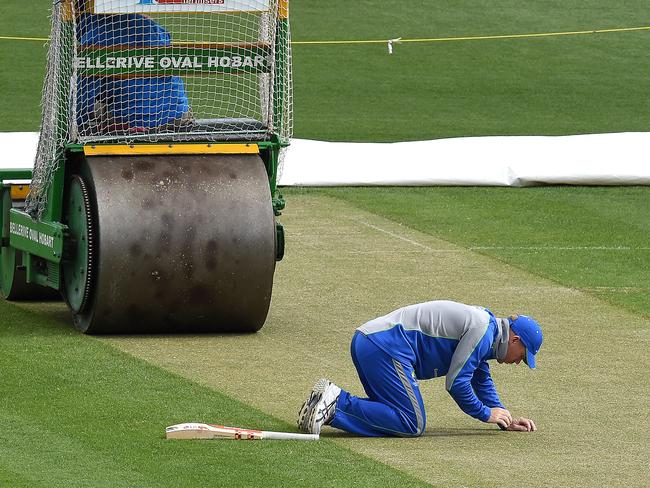 Australia v West Indies 2016 Hobart Blundstone Arena curator