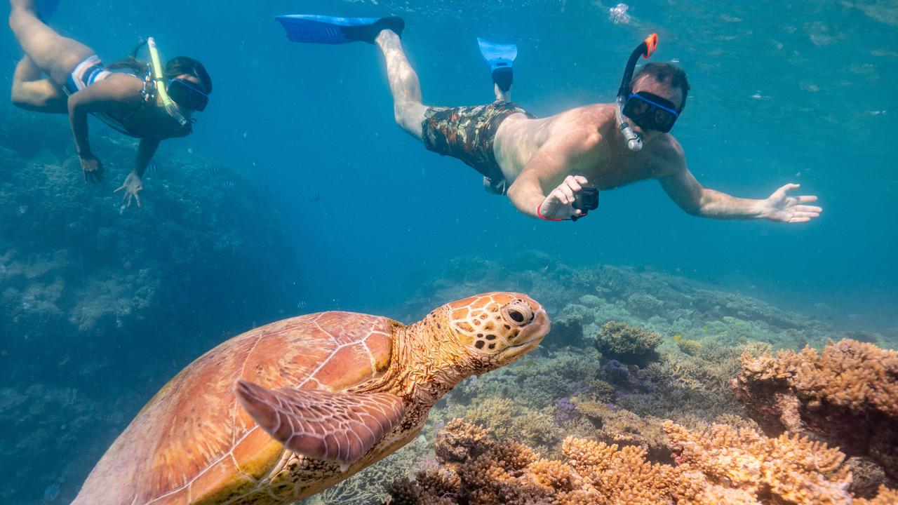 The Great Barrier Reef injects $5.7bn into Queensland’s tourism economy according to Deloitte’s 2017 report. Picture: Couple snorkelling on the reef as part of the Lady Musgrave Experience, Tourism and Events Queensland.