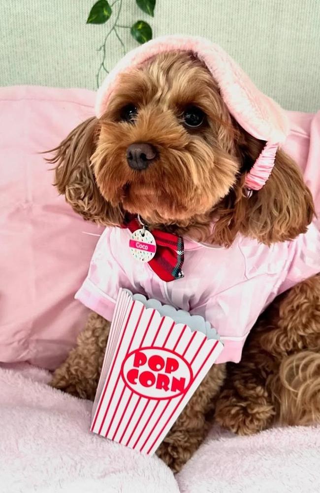 Sleepover themed party at 3SpoitDogs, Geebung. Photo: Instagram