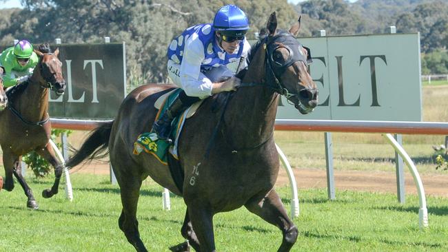 Excelleration could continue his rapid improvement to earn a Melbourne Cup start via Saturday's Andrew Ramsden at Flemington. Picture: Racing Photos via Getty Images.