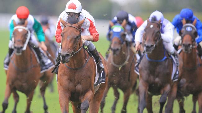 Astronomos will be hard to beat again on a heavy track. Picture: Jenny Evans