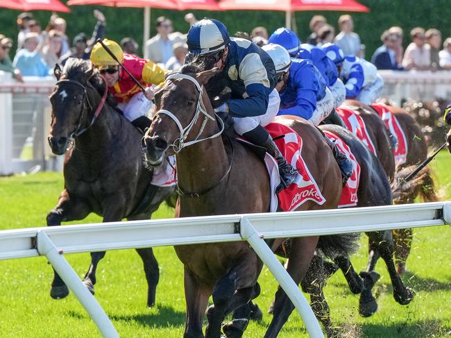 Daggers ridden by Luke Currie wins the Brooks Running AU Plate at Moonee Valley Racecourse on August 24, 2024 in Moonee Ponds, Australia. (Photo by George Salpigtidis/Racing Photos via Getty Images)