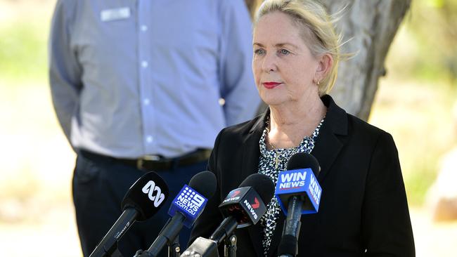 LNP Shadow health minister Ros Bates. PICTURE: MATT TAYLOR.