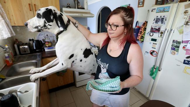 Baxter gets fed 500g of pork mince every day, plus three cups of biscuits.