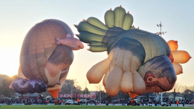 The Skywhale hot air balloons in Ballarat did not fly due to high winds, while one also didn’t inflate properly due to a tear. Picture: Facebook.