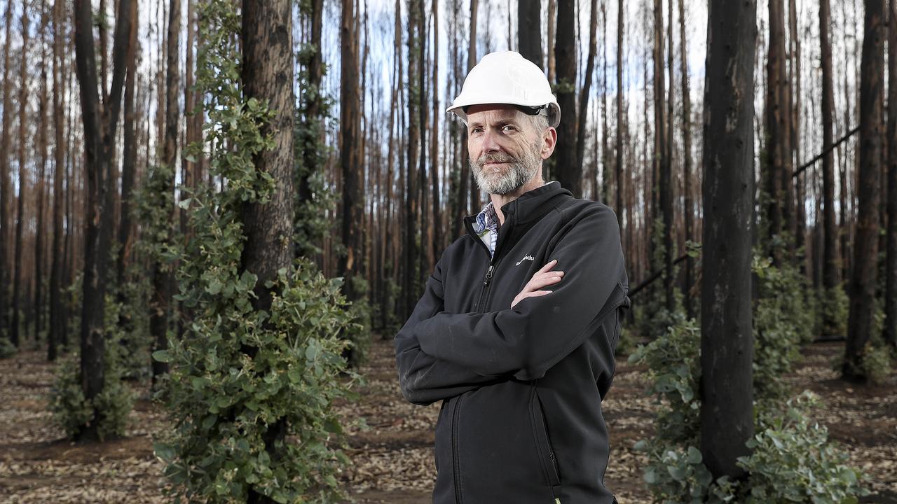 KI Timber boss Keith Lamb. Picture: Sarah Reed