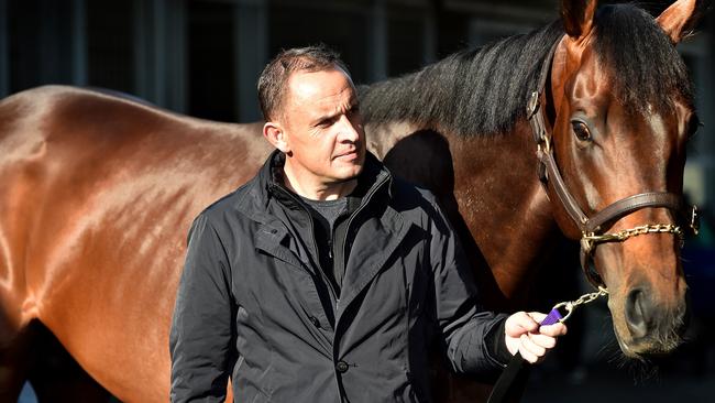 Trainer, Chris Waller, with Preferment. Picture Jay Town.