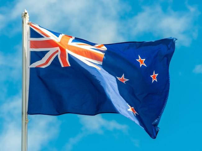 New Zealand treaty bill submissions crash online portal