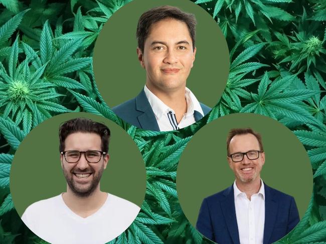 Cannabis in Queensland. Experts give their view. Horizontal. Picture: Supplied.