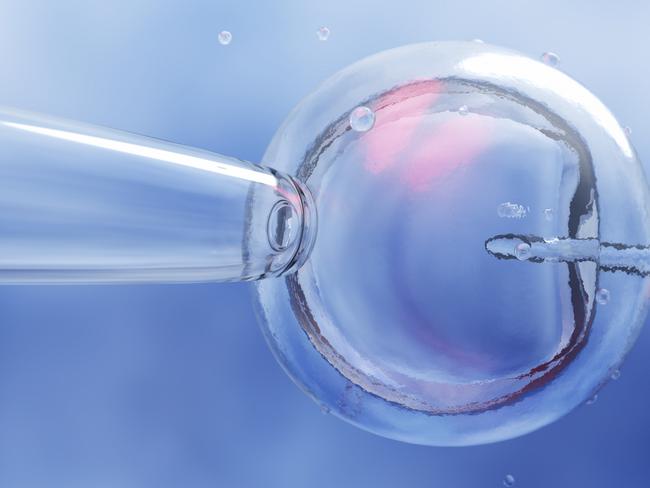 IVF (in vitro fertilization) or insemination of female egg with microscope