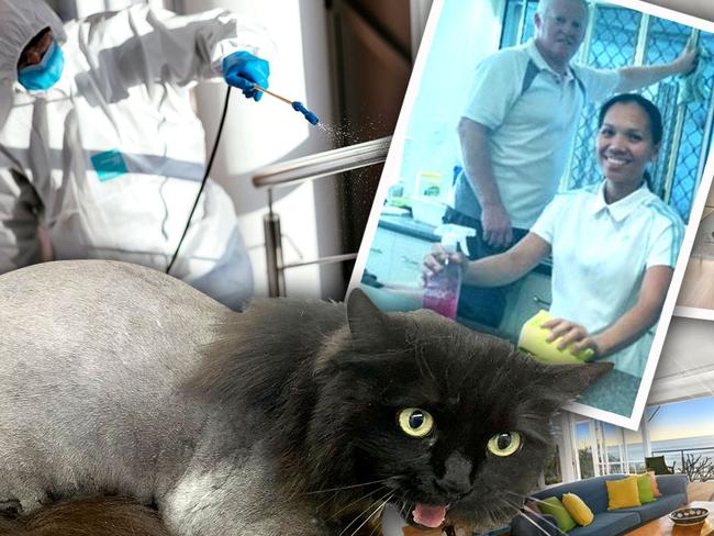 Noosa celebrity cleans, cat mullets: Workers reveal most outrageous requests