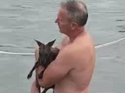 Locals rescuing a wallaby from the strong outgoing tide in the Cockle Creek., , From source:, https://www.facebook.com/535898499792104/videos/242091294218208