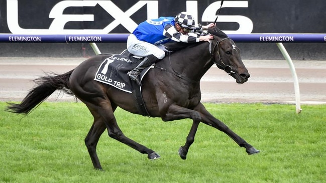 Melbourne Cup winner Gold Trip has been retired to stud. Picture: Reg Ryan / Racing Photos.