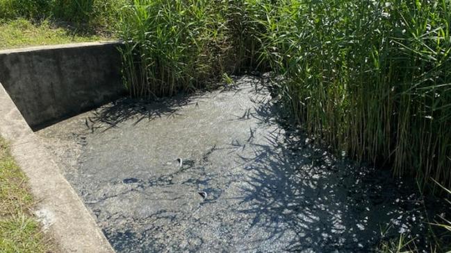 Sewer spill in the Albert River at the northern Gold Coast. This is water overflow in a drain.