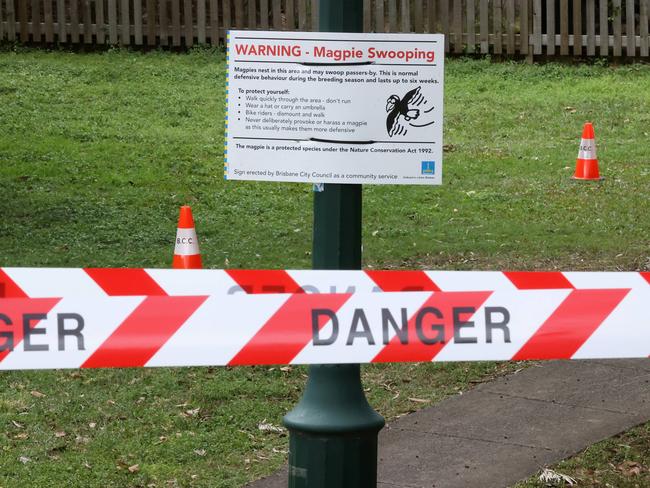 Council has shut a footpath in Glindemann Park following the attack. Picture: Liam Kidston