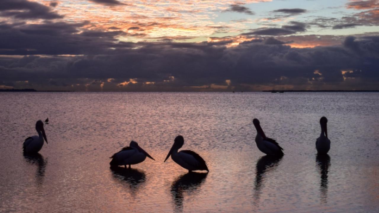 Views from Moreton Bay. Picture: Supplied