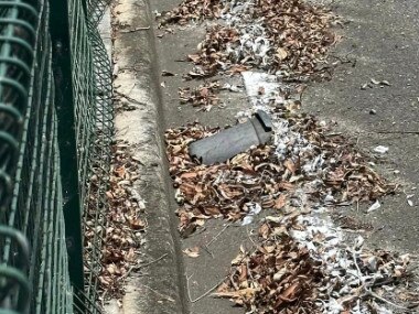 White line markings painted across leaves at the Hardy and Springbrook roads intersection at Mudgeeraba.