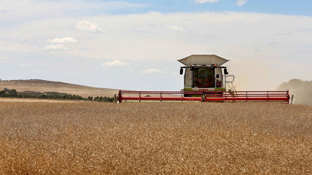 Politicians need to show commonsense on border restrictions to allow farmers to continue to feed the nation, as well as earn a living, border residents say. Picture: File