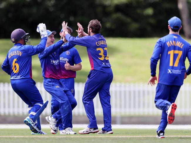 Frankston Peninsula players celebrate a wicket. Picture: George Sal