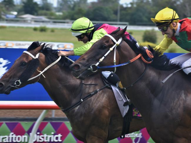 Jockey Andrew Mallyon rode Nothingforthepress (right) to victory for trainer Stephen Lee in the final stride over John Shelton trained Bugalugs (Stephen Lee) in the NRRA Country Championship Qualifier 13 February Open Handicap over 1200m at Clarence River Jockey Club in Grafton on Tuesday, 2nd February, 2021. Photo Bill North / The Daily Examiner