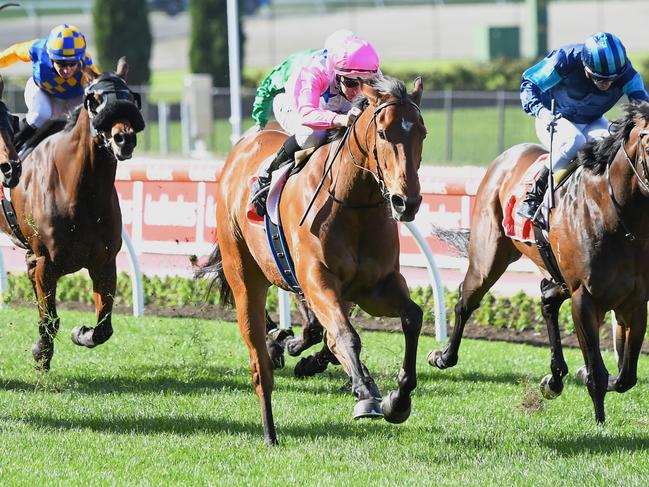 The Inferno ridden by Damian Lane wins the Mitty's McEwen Stakes at Moonee Valley Racecourse on September 04, 2021 in Moonee Ponds, Australia. (Pat Scala/Racing Photos via Getty Images)