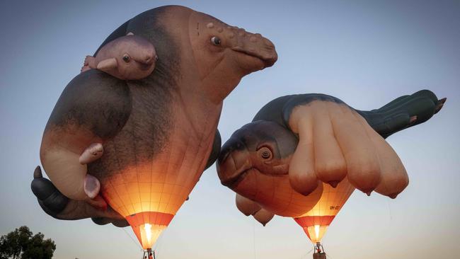 Skywhales: Every Heart Sings, an installation by Patricia Piccinini, as part of the Adelaide Festival, at Elder Park. Picture Emma Brasier.