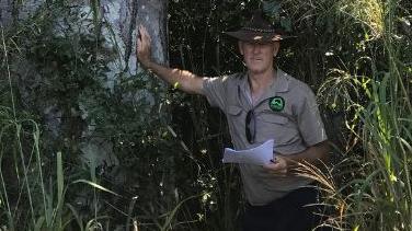 Landcare's Mike Johnson shows the size of the trees.