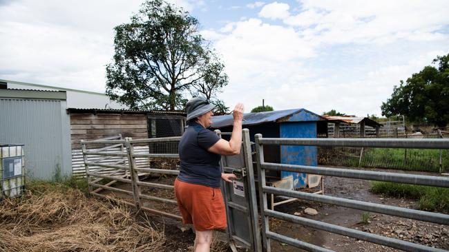 Tatham dairy farmer Maureen McDonald is slowly rebuilding her flood-ravaged farm, taking it “one day at a time”. Photo: Elise Derwin