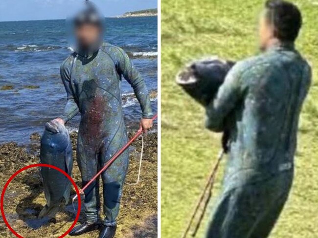 The fisherman was charged for his act.