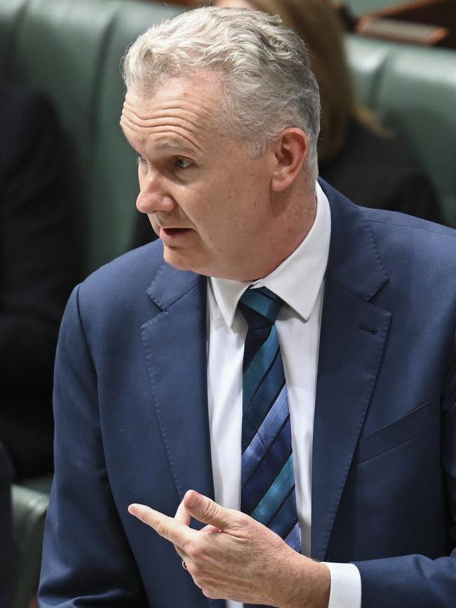 Workplace Relations Minister Tony Burke. Picture: NewsWire/Martin Ollman