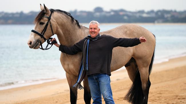 Daryl Braithwaite came up with the idea to cover The Horses at the last minute while recording his album Rise.  Picture: Alex Coppel.