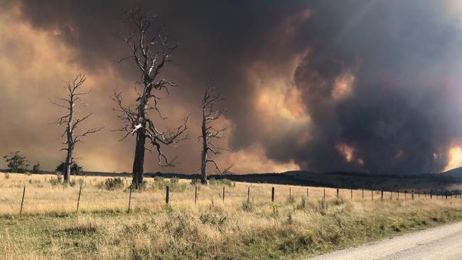 Scary scenes: The Timbarra/Gelantipy bushfire approaches Tulloch Ard Rd on February 3. Pictures: Meg Overy