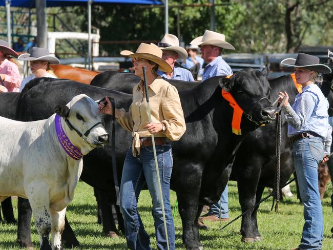 2022 Proston Show. Picture: Dominic Elsome