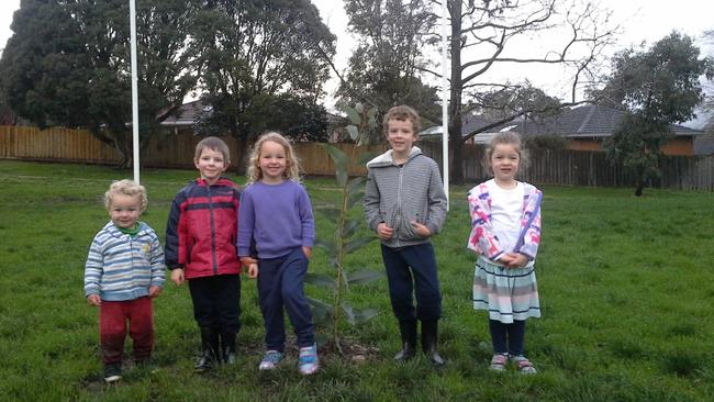 Callum, Fraser, Abbie, Rory and Nelly couldn’t play footy with the tree in the way. Picture: Supplied