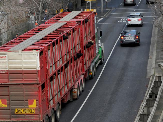 Calls for livestock trucks to be taken off City Rd date back to 2019. Picture: Andrew Henshaw